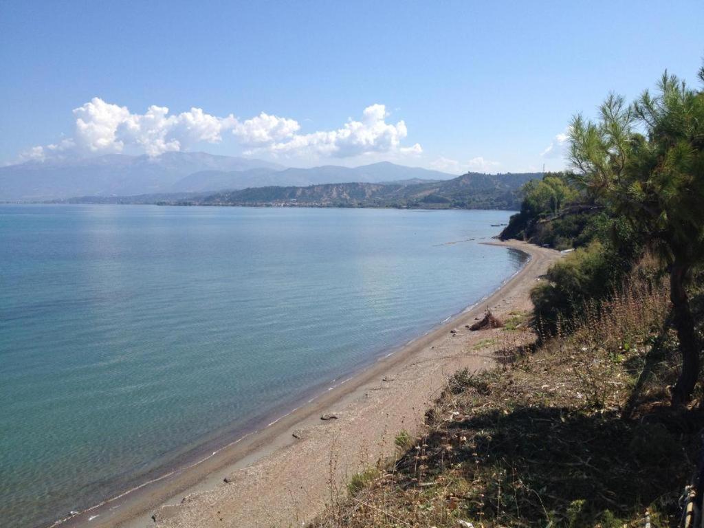 Camping Golden Sunset Alissos 외부 사진
